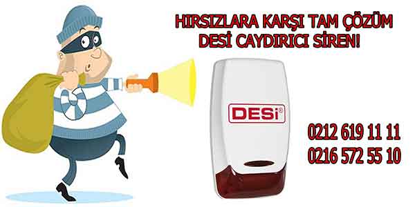 desi-nasil-calısır